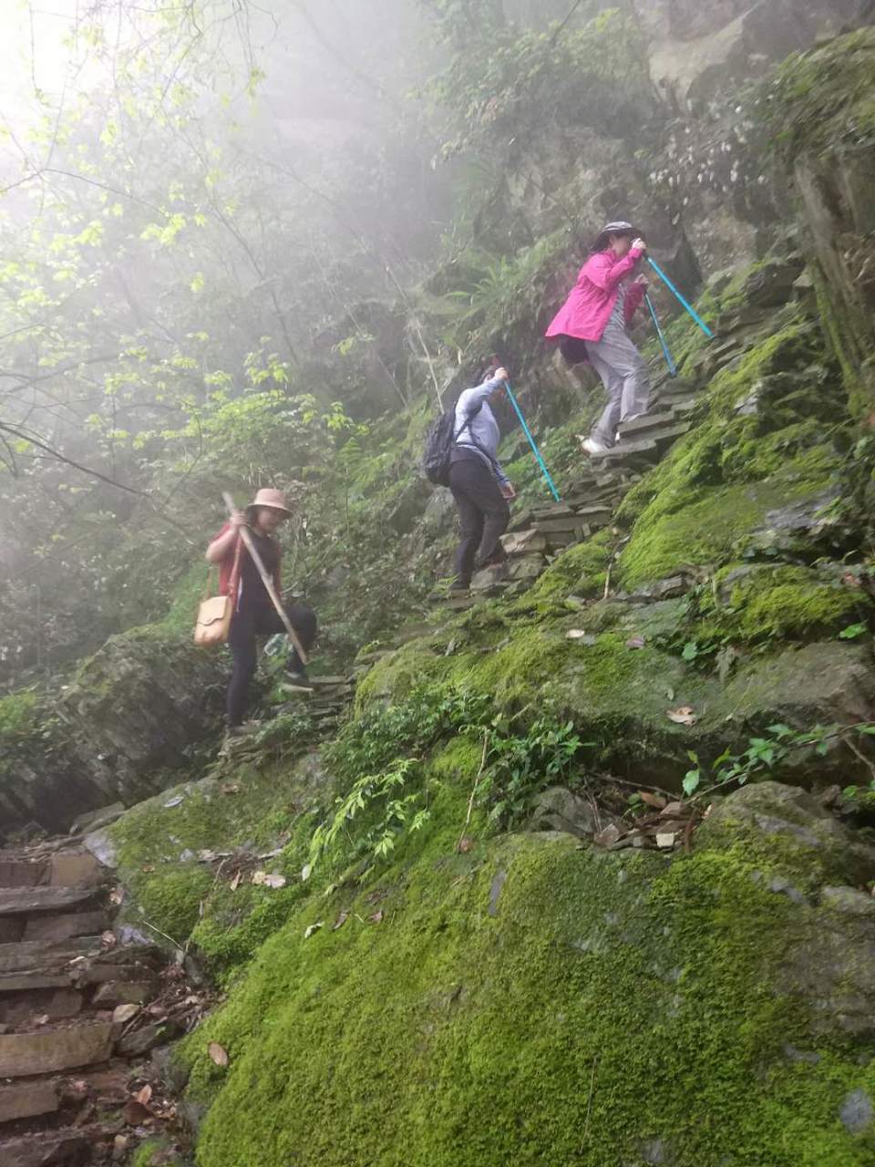 微信图片_2019042312051913