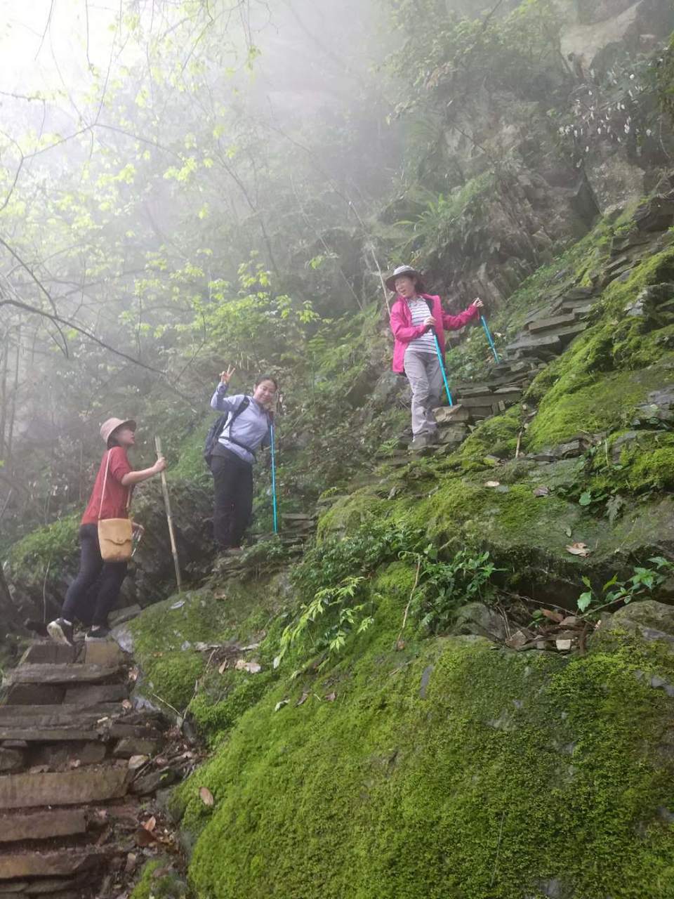 微信图片_2019042312051914