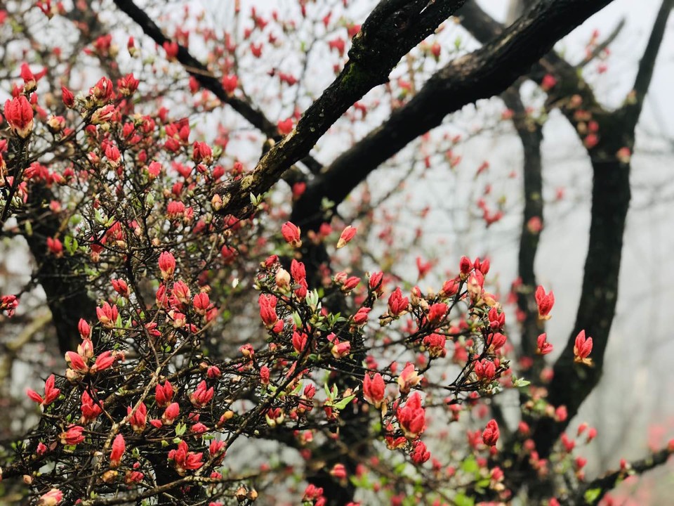 微信图片_2019042312051919