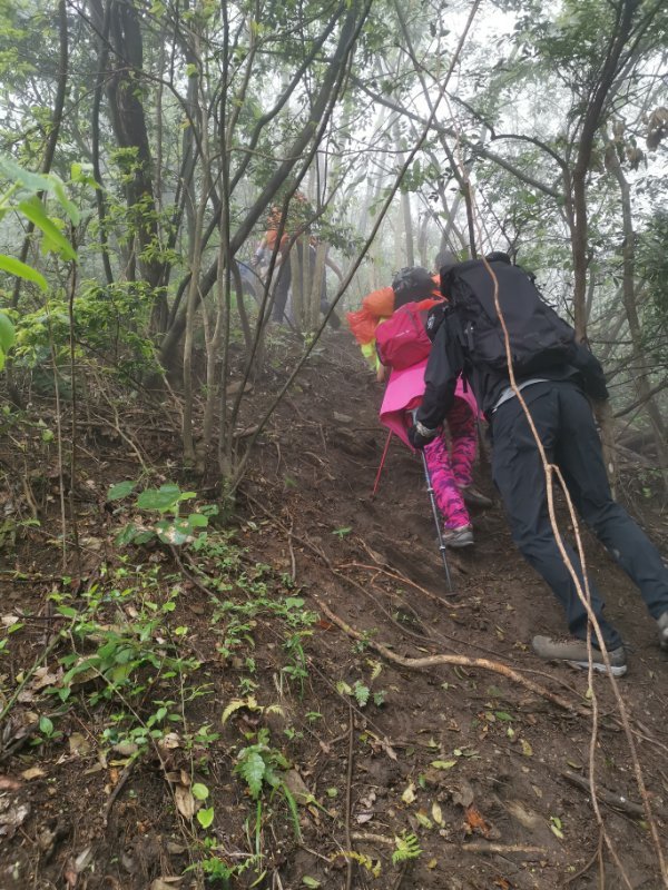 微信图片_2019042312051921