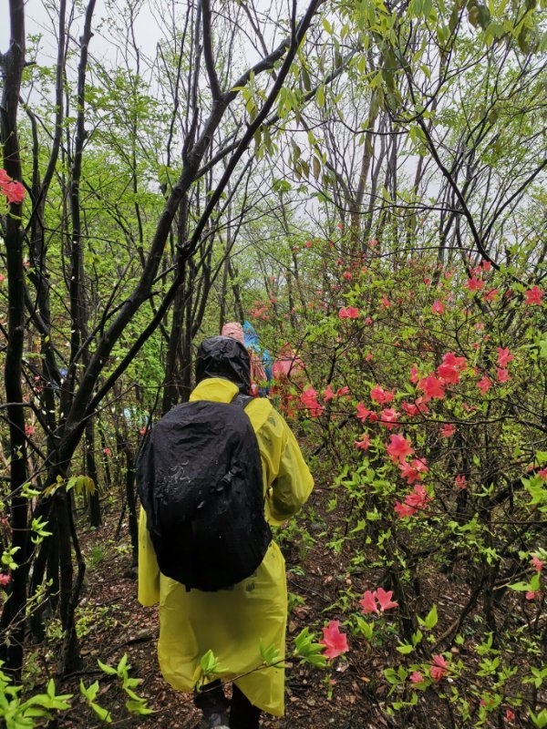 微信图片_2019042312051924