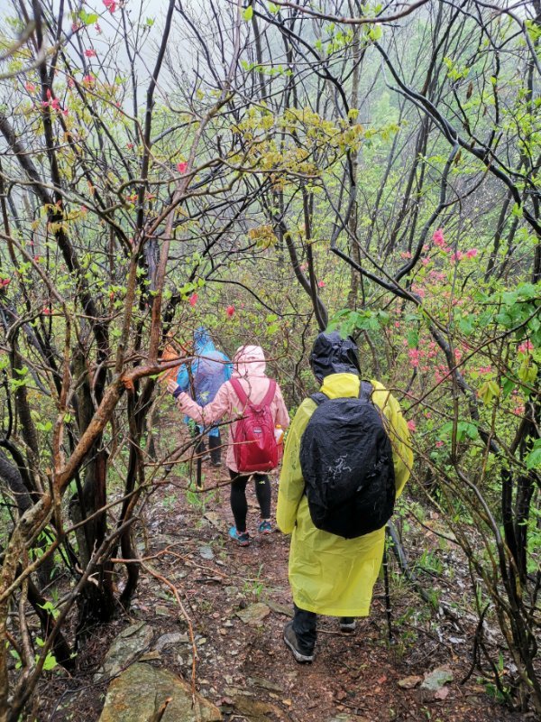 微信图片_2019042312051925