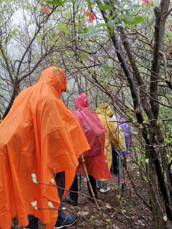 微信图片_2019042312051926