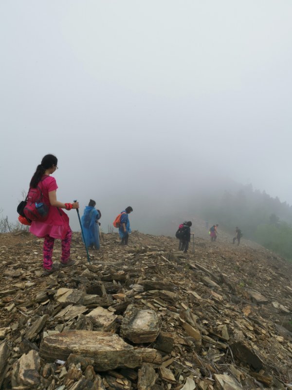 微信图片_2019042312051934