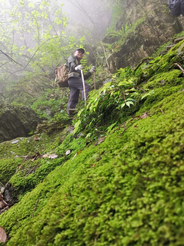 微信图片_2019042312051942