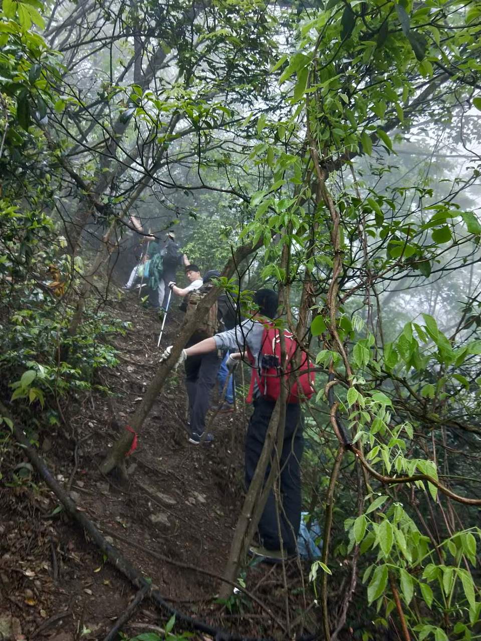 微信图片_2019042312051961