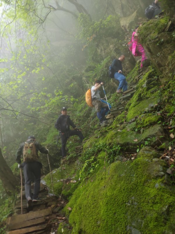 微信图片_2019042312051963