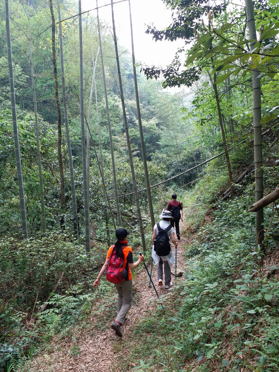 微信图片_2019042312051977