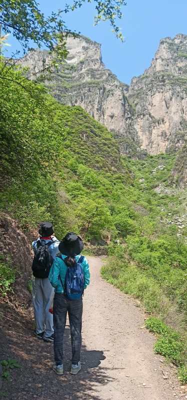 微信图片_20190505102238