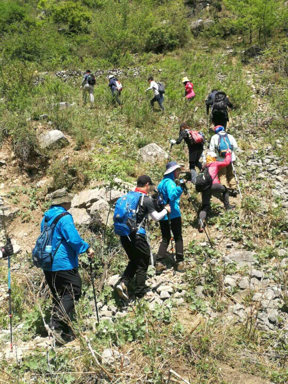 微信图片_20190505102331