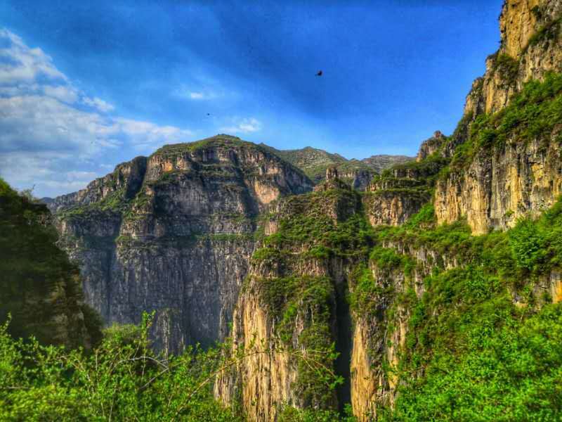 微信图片_20190505103026