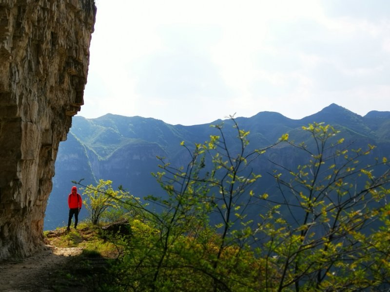 微信图片_20190505103258