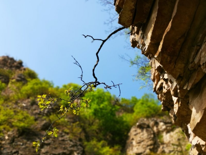 微信图片_20190505103340