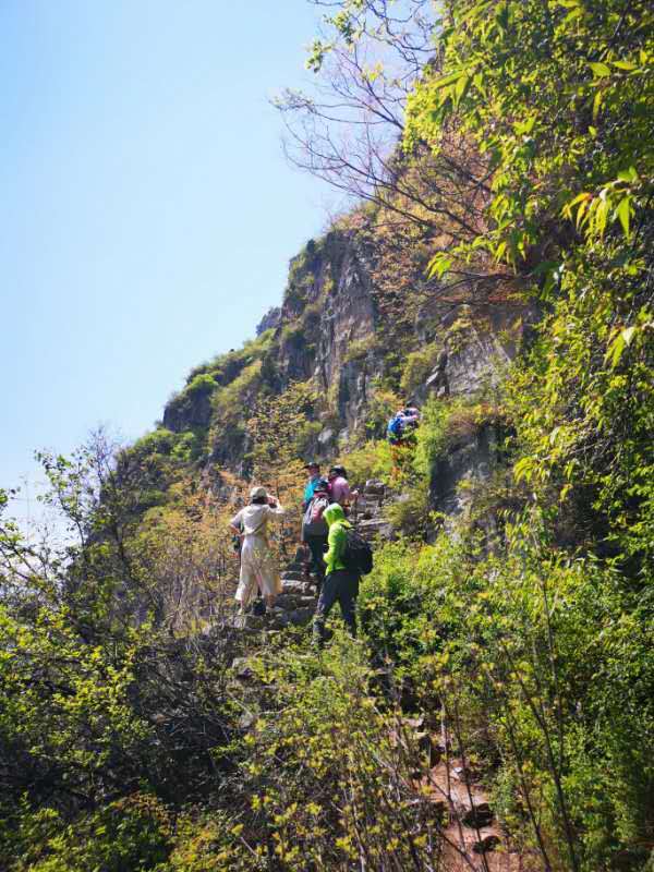 微信图片_20190505103629