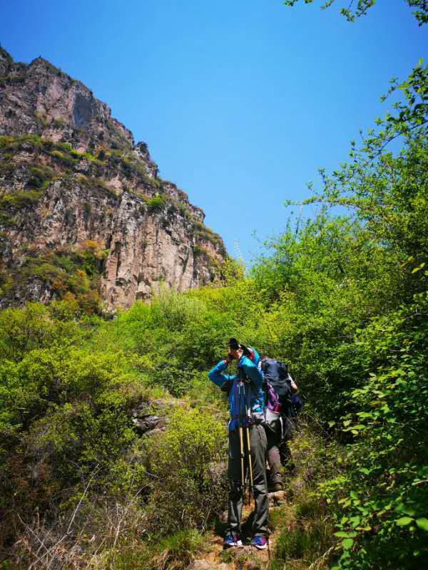 微信图片_20190505103716