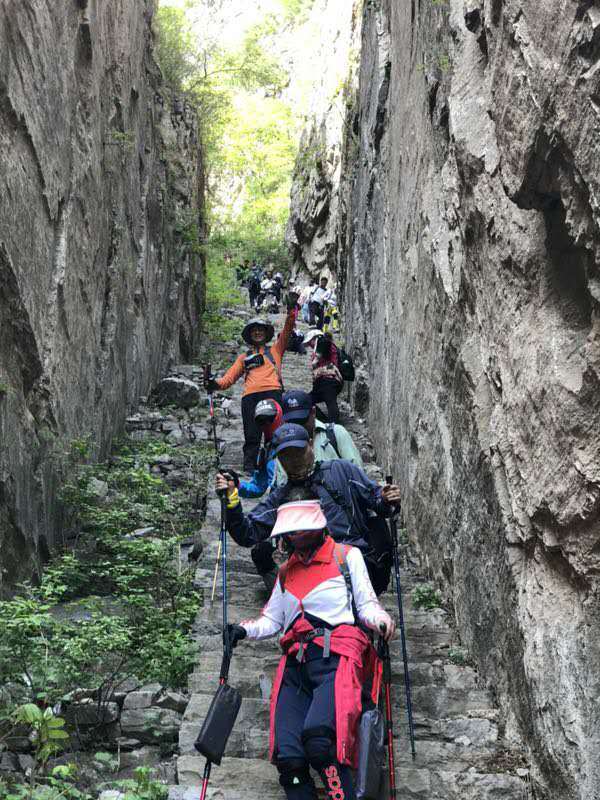 微信图片_20190505104517