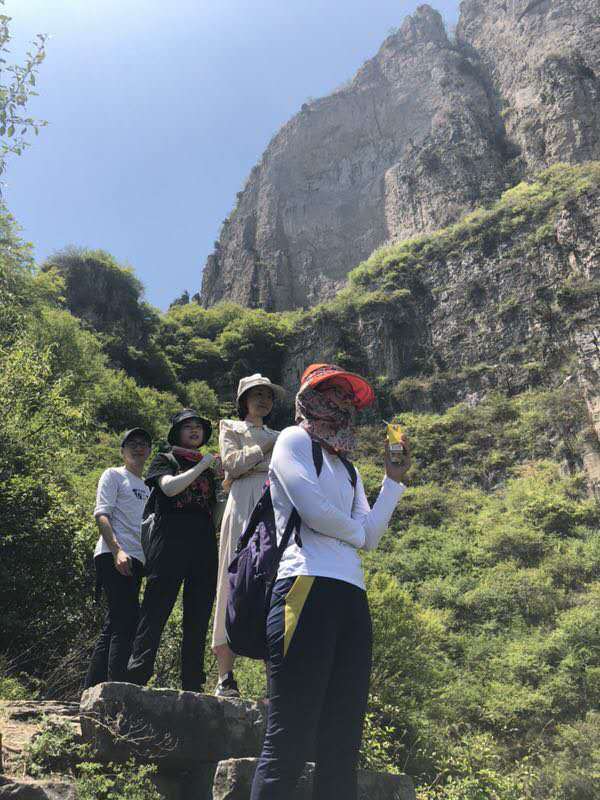 微信图片_201905051022383