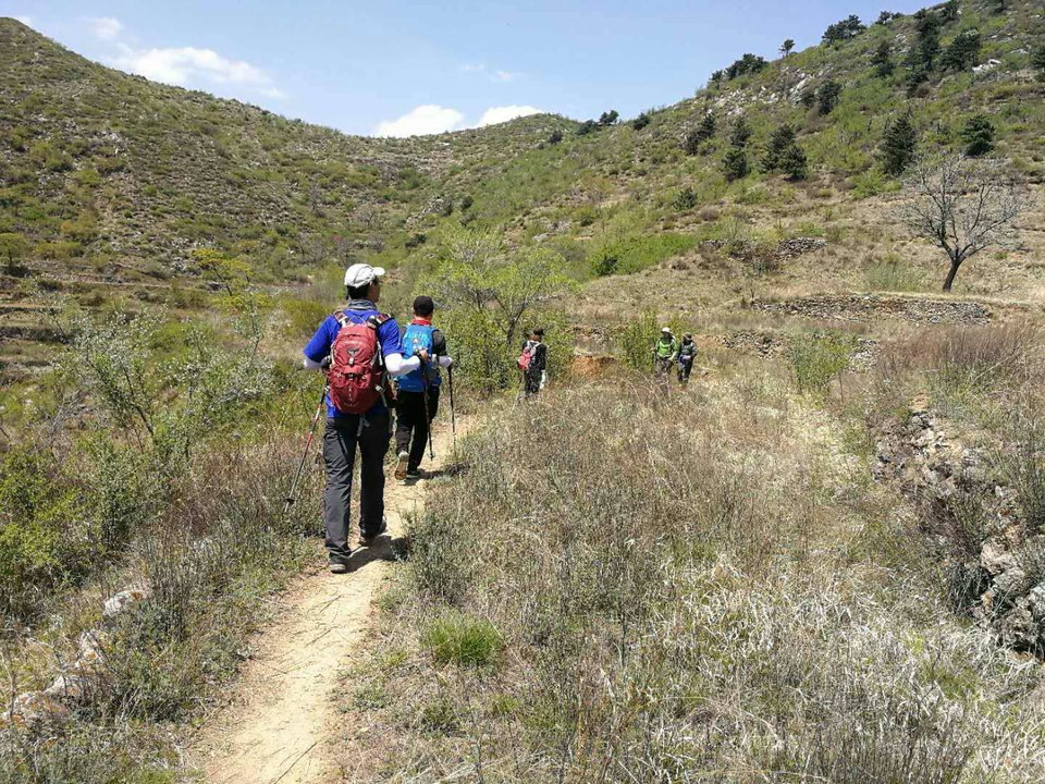 微信图片_201905051022386