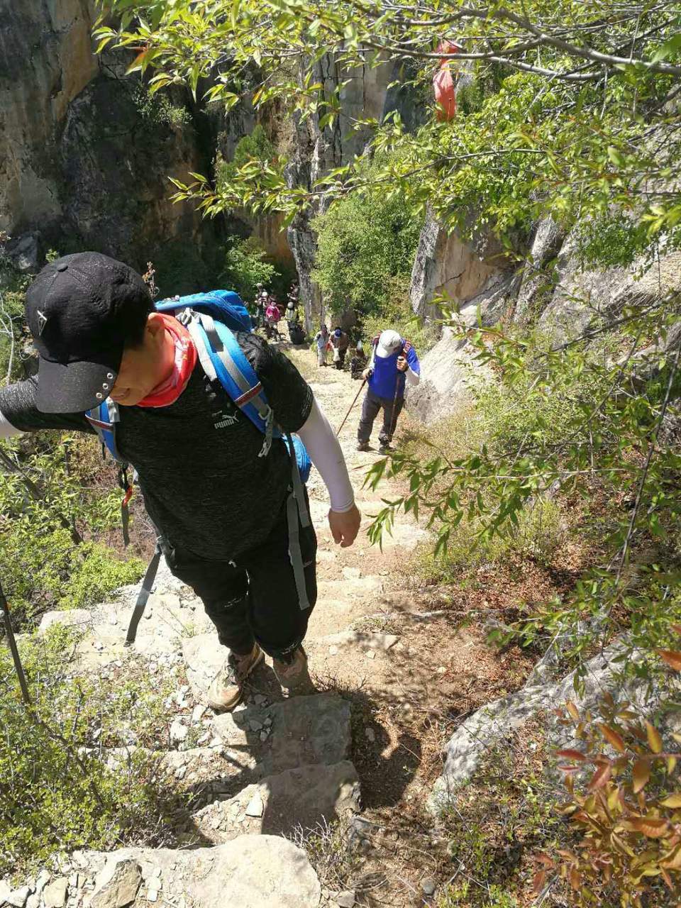 微信图片_201905051022387