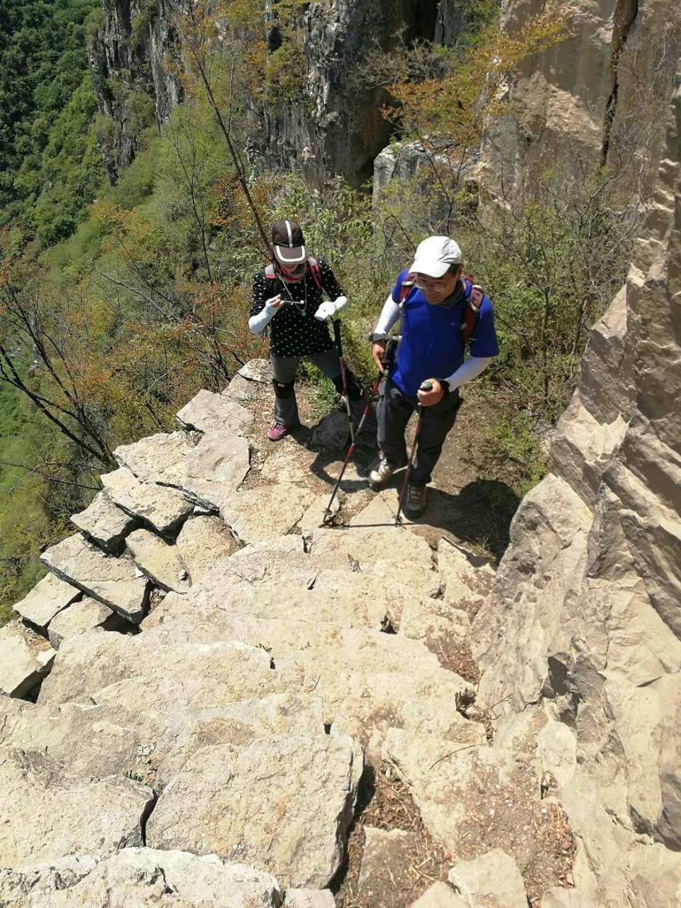 微信图片_201905051023316