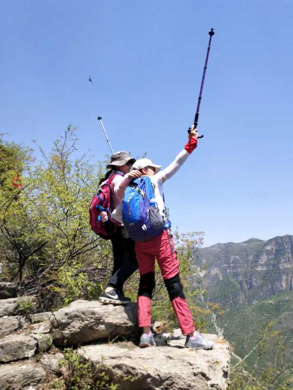 微信图片_201905051023317