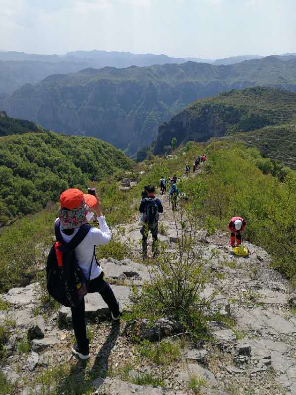 微信图片_201905051024165