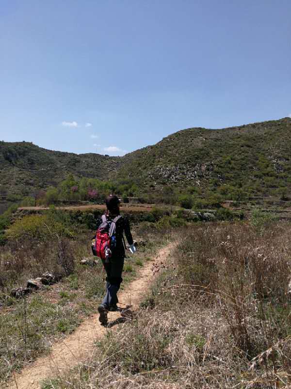 微信图片_201905051024166