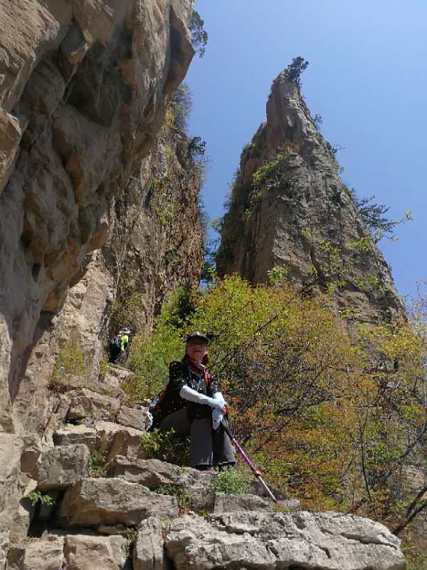 微信图片_201905051024167