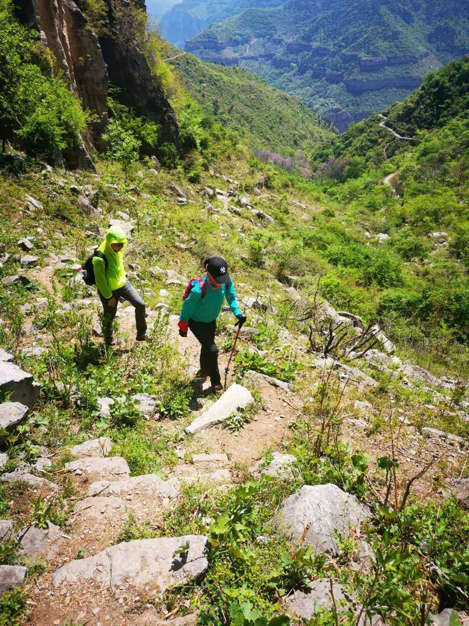 微信图片_201905051028172