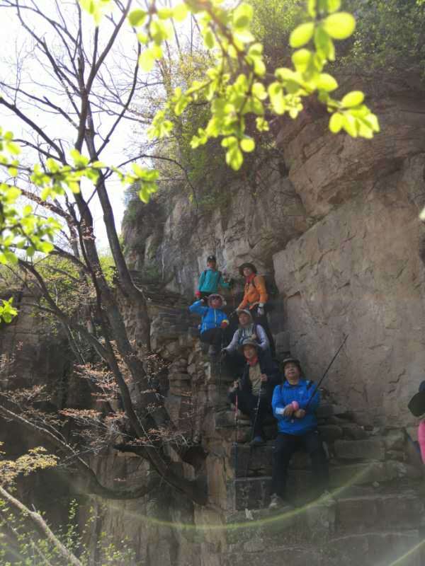 微信图片_201905051028182