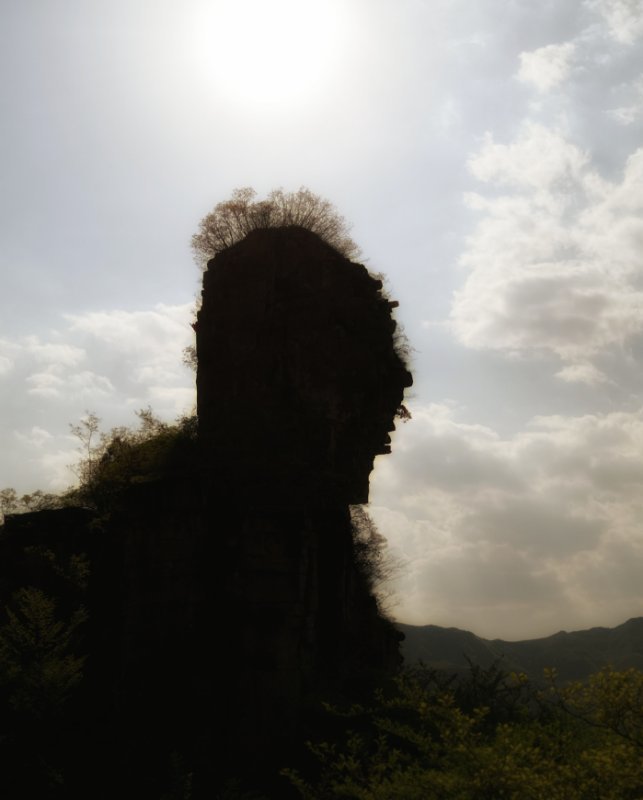 微信图片_201905051029336