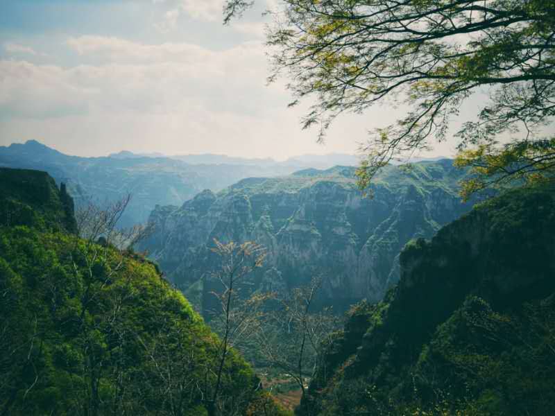 微信图片_201905051030266