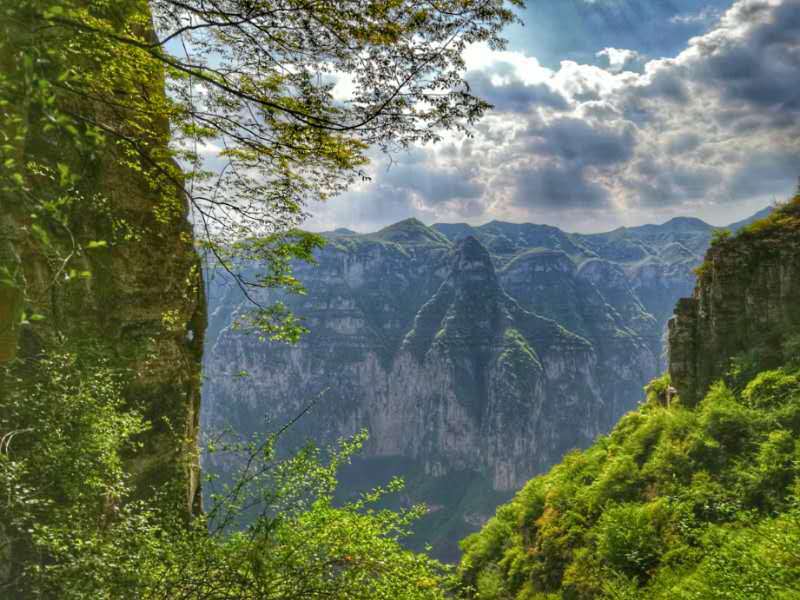 微信图片_201905051030267