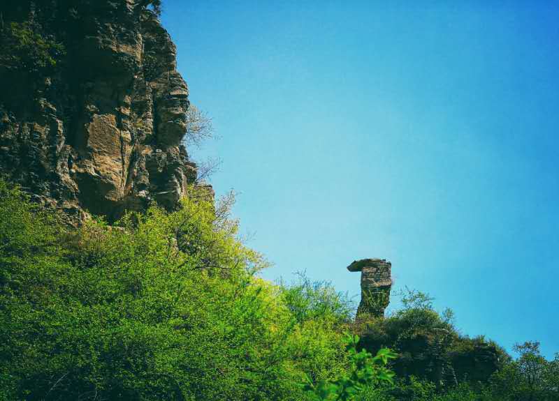 微信图片_201905051031083