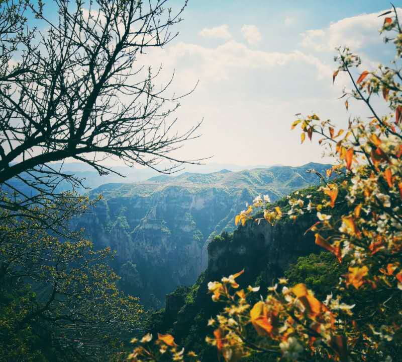 微信图片_201905051031087