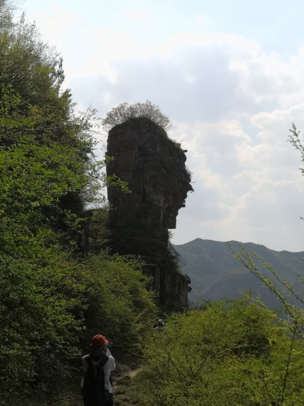 微信图片_201905051032112