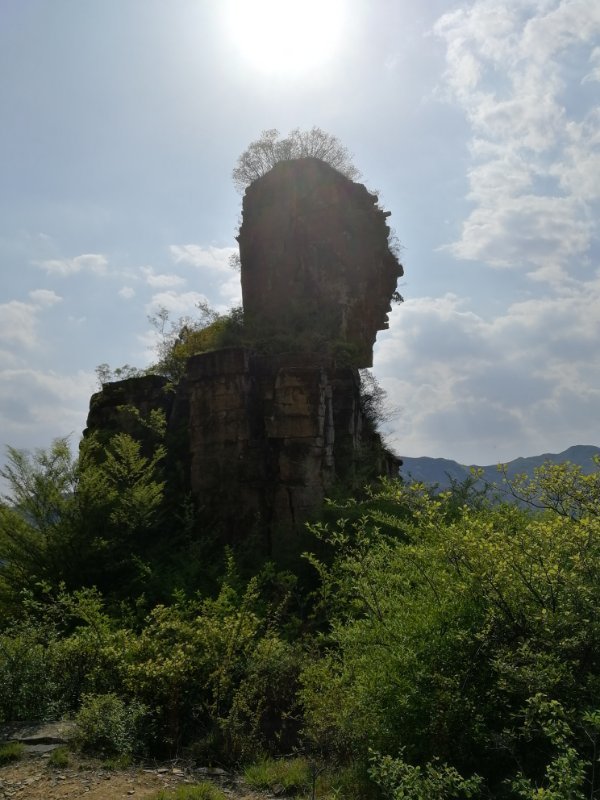 微信图片_201905051032113