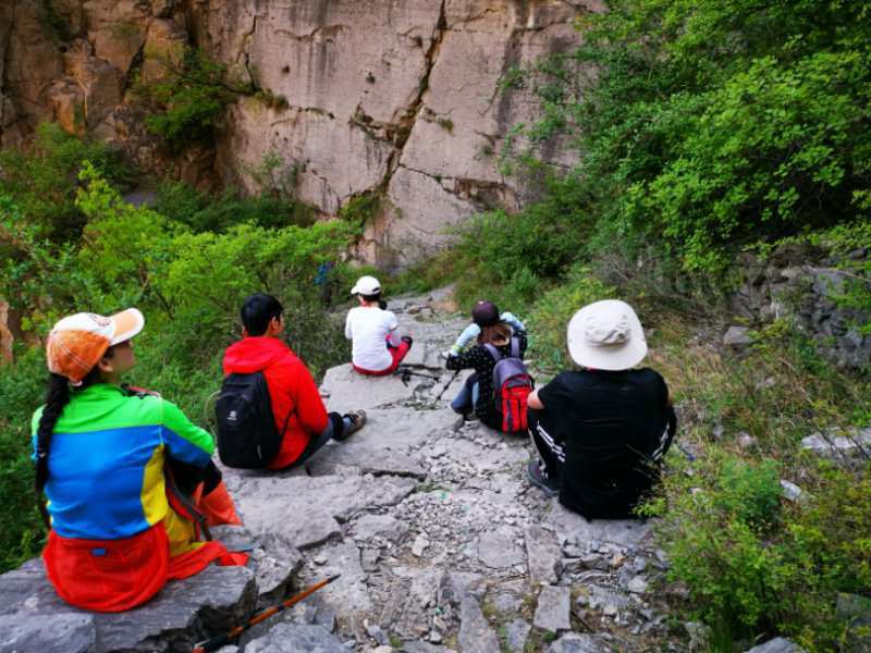 微信图片_201905051032581