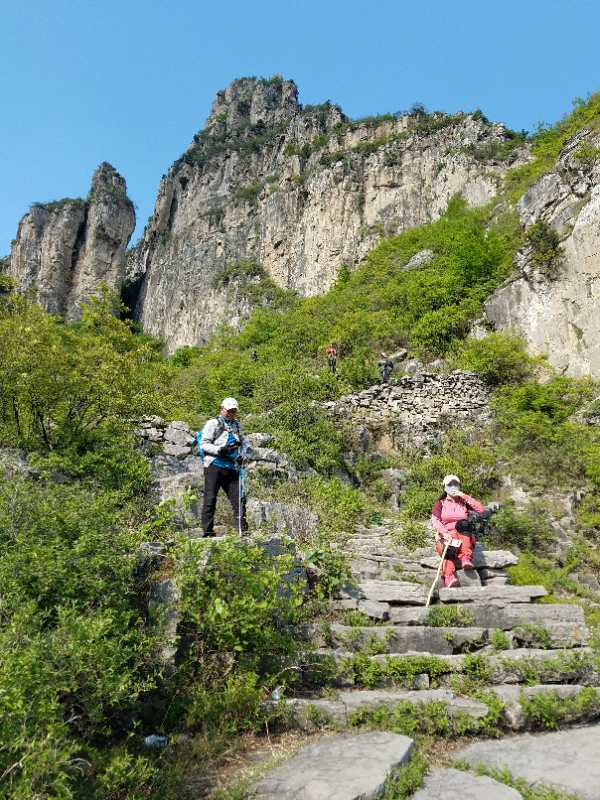 微信图片_201905051033102