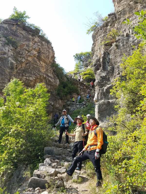 微信图片_201905051033401