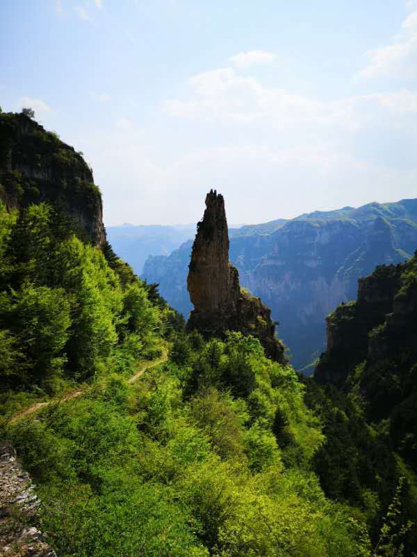 微信图片_201905051033402