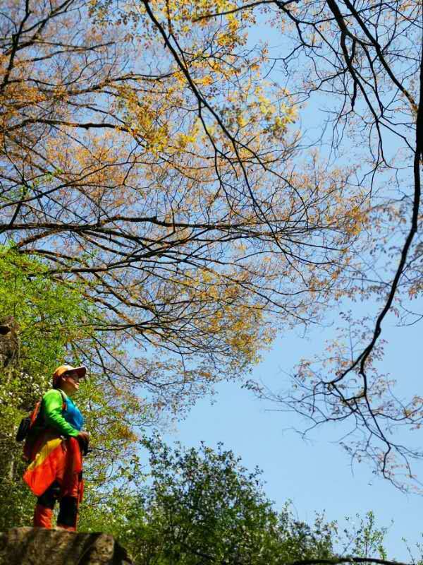 微信图片_201905051033404