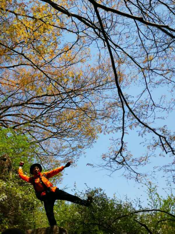 微信图片_201905051034342