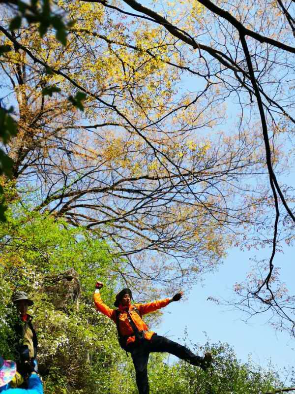 微信图片_201905051034344