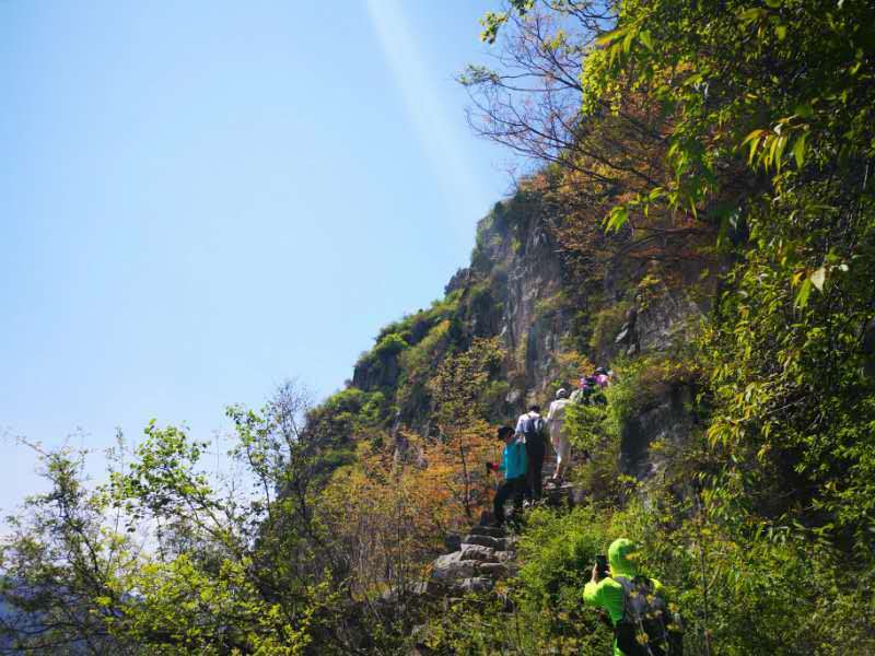 微信图片_201905051034346