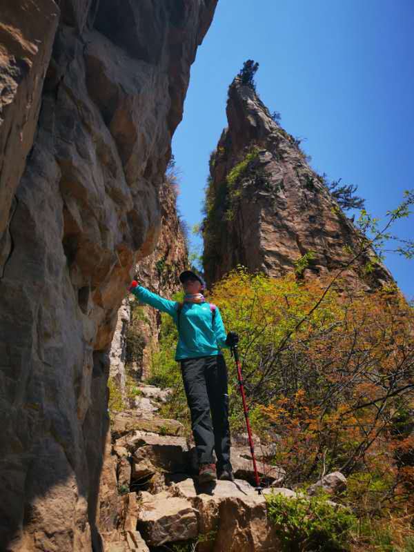 微信图片_201905051036291