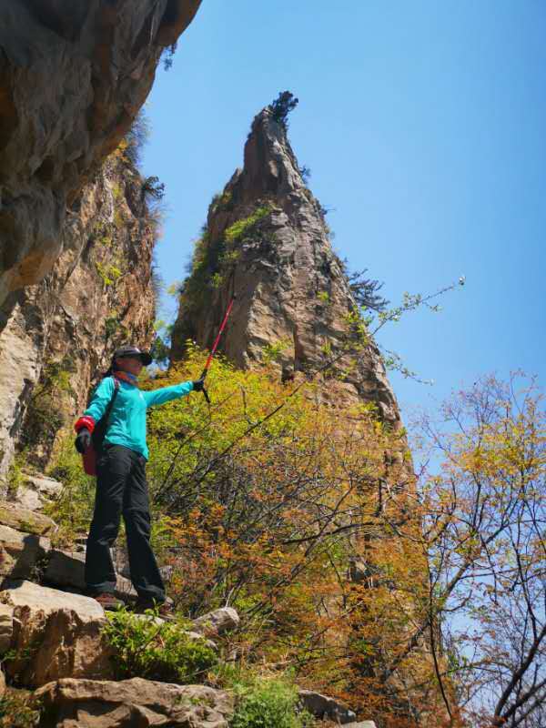 微信图片_201905051036292