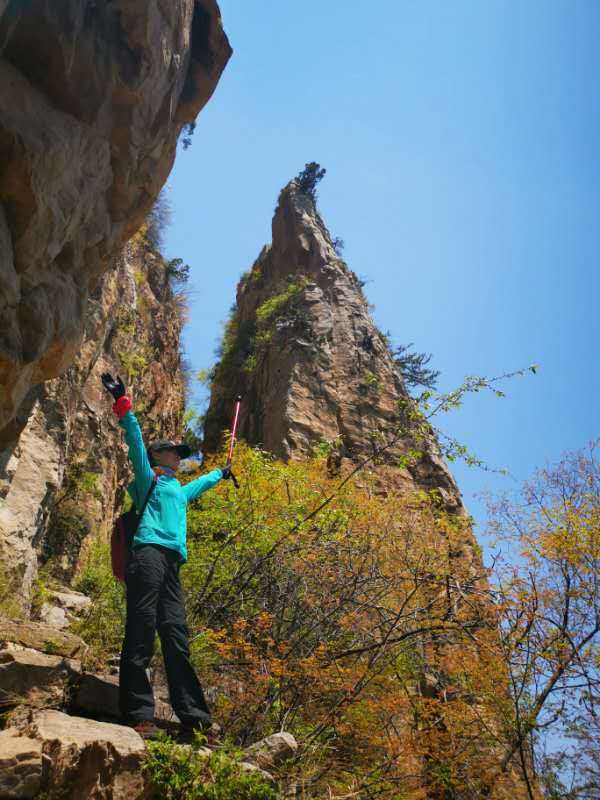 微信图片_201905051036293