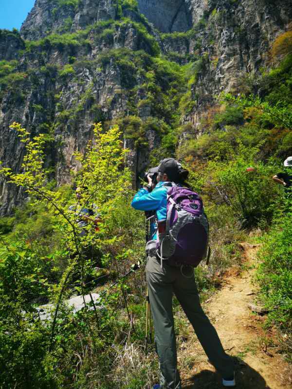 微信图片_201905051036295