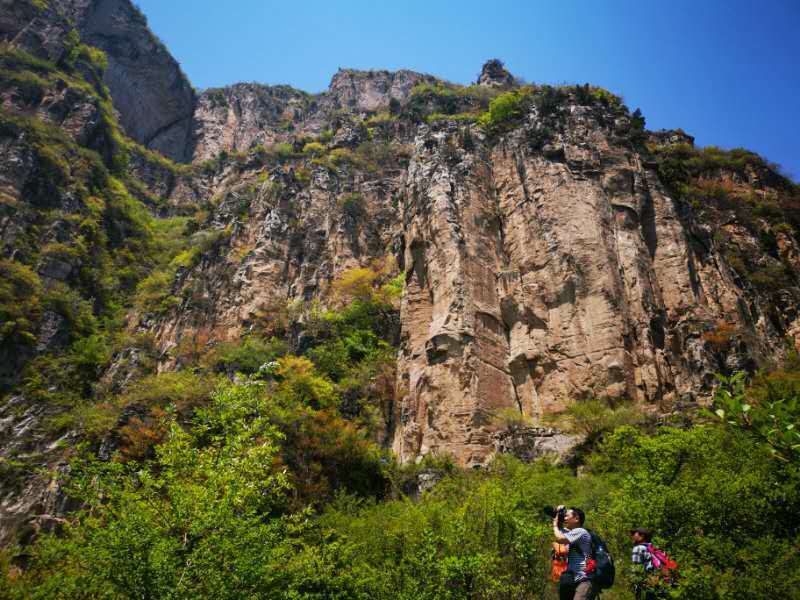 微信图片_201905051036296